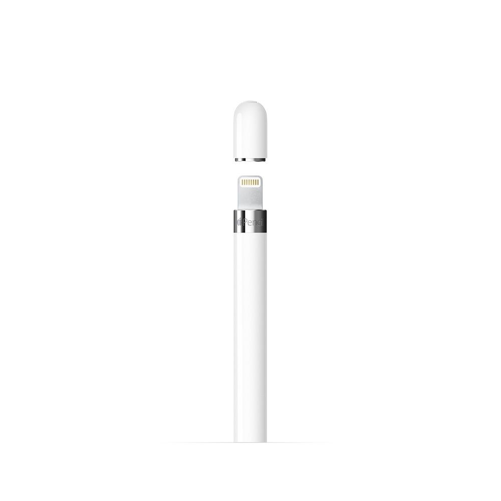 APPLE PENCIL 2 TYPE-C